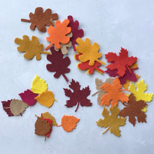 Load image into Gallery viewer, Felt Mixed Leaf Bundle, Die cut mixed leaves, Felt Autumn Leaves