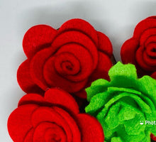 Load image into Gallery viewer, Felt Succulent & Rose Flower Plaque Kit, Make Your Own Valentine's Plaque Kit