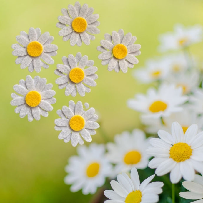 Crafting Cheerful Blooms: A Guide to Felt Daisies